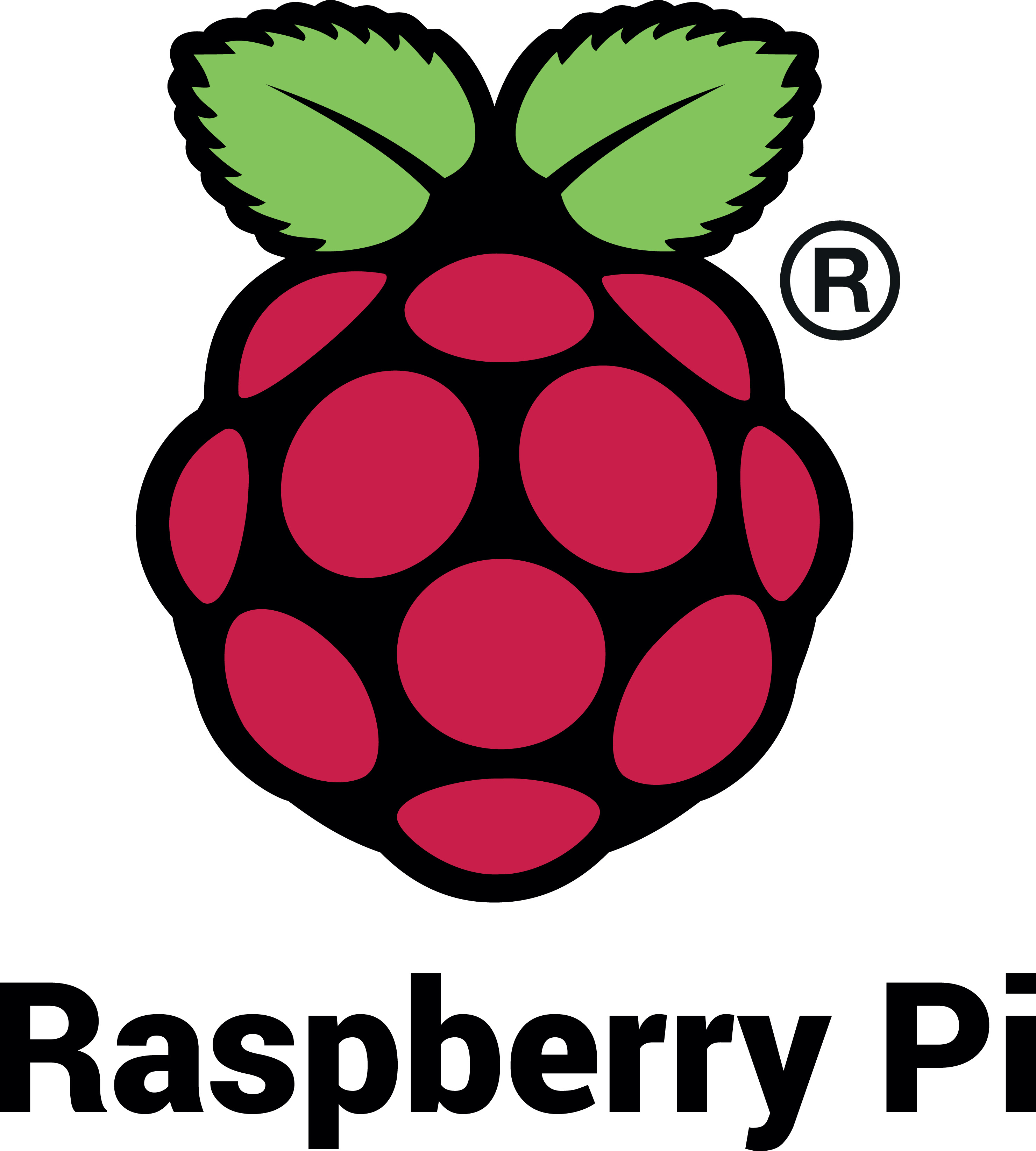Logo Raspberry Pi